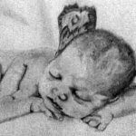 1381740_554330857974142_514900256_n