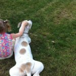 1008756_684188368264883_1205591903_o