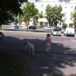 1009422_684188151598238_644787211_o