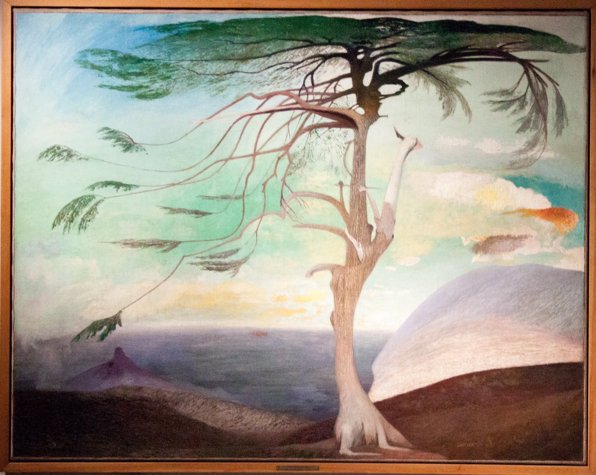 Képtalálat a következőre: „csontváry”